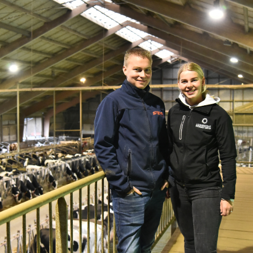 Ontwerp zonder titel (24)