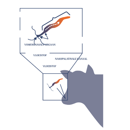 Ontwerp zonder titel (25)