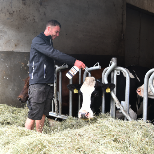 Website afbeeldingen (2)